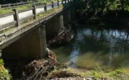 遂川到禾源班车时刻表（遂川到禾源多少公里）