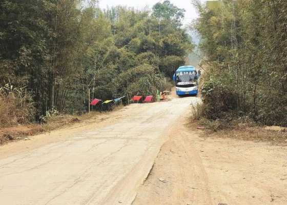 大黎到太平班车时刻表（大黎镇到平南县班车）-图3