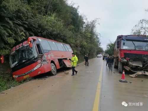 柳州昭平的班车时刻表（昭平到柳州直达快班）-图3