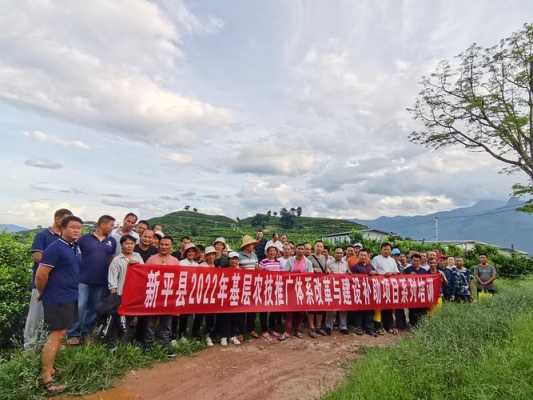 新平到老厂班车时刻表（新平班车电话号码）-图3