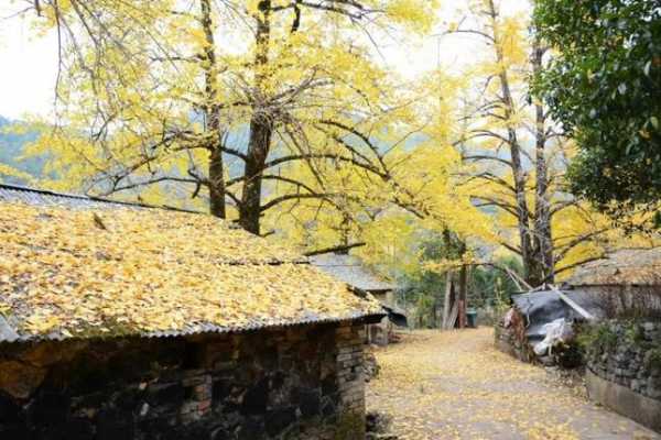 海洋乡至灵川班车时刻表（灵川县海洋乡旅游攻略）-图2