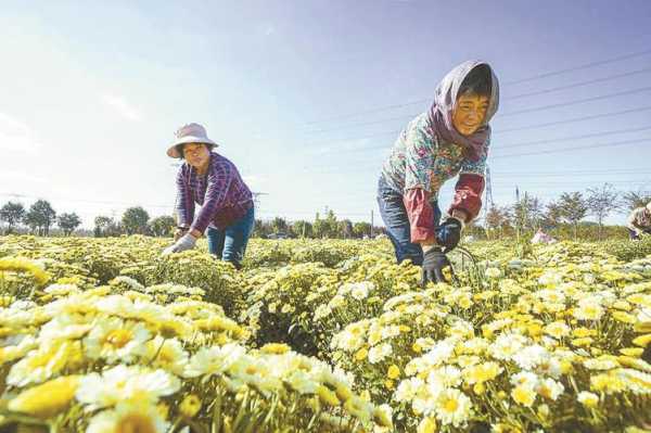 盐城开凤谷班车时刻表（盐城开凤谷班车时刻表最新）-图1