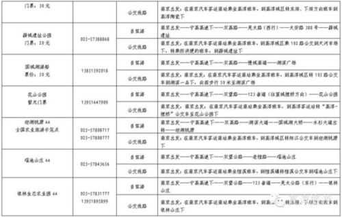 文登到花岛的班车时刻表（文登到花岛的班车时刻表查询）-图3