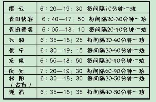 壶镇至丽水班车时刻表（壶镇至丽水班车时刻表2023）-图2