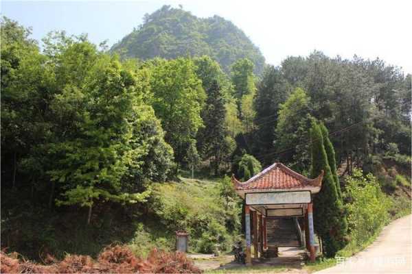 修水黄龙班车时刻表（修水县黄龙山旅游公路）-图1