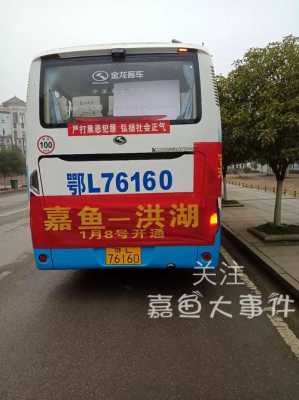 嘉鱼到洪湖班车时刻表（嘉鱼县到洪湖班车）-图3