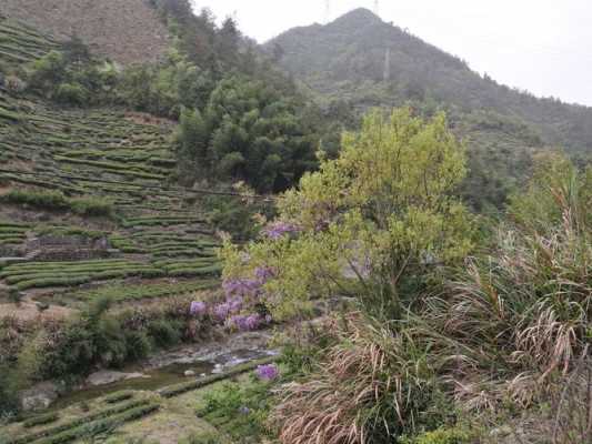 松明培到嵊州班车时刻表（嵊州市石璜镇松明培村）-图3