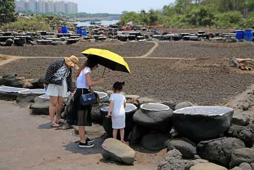 洋浦到儋州班车时刻表（儋州洋浦经济开发区汽车站到三亚汽车价格）-图3