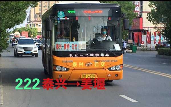 泰兴214班车时刻表（泰兴221路）-图3